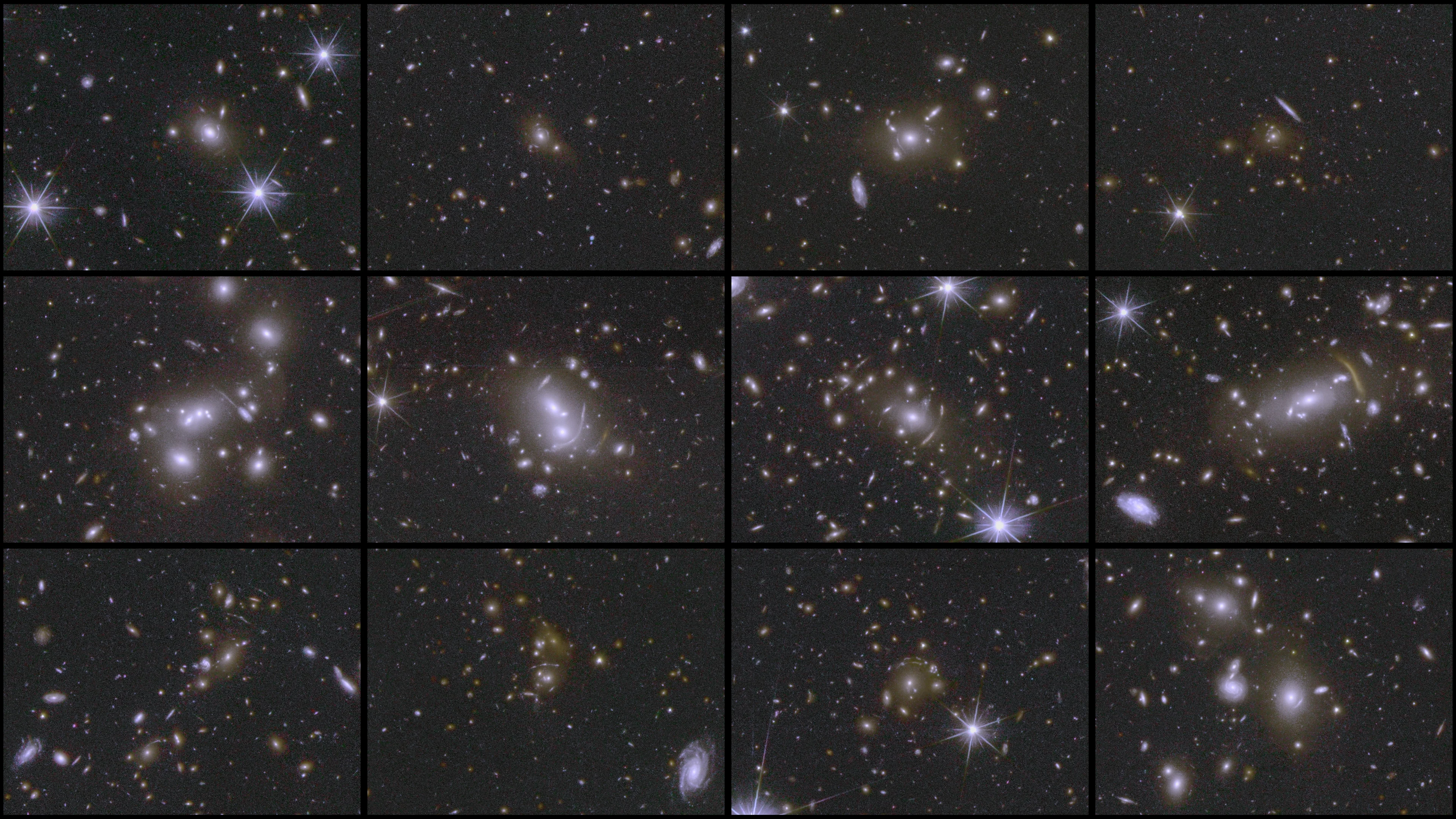 Euclid Consortium: New images and science results from the Euclid space telescope