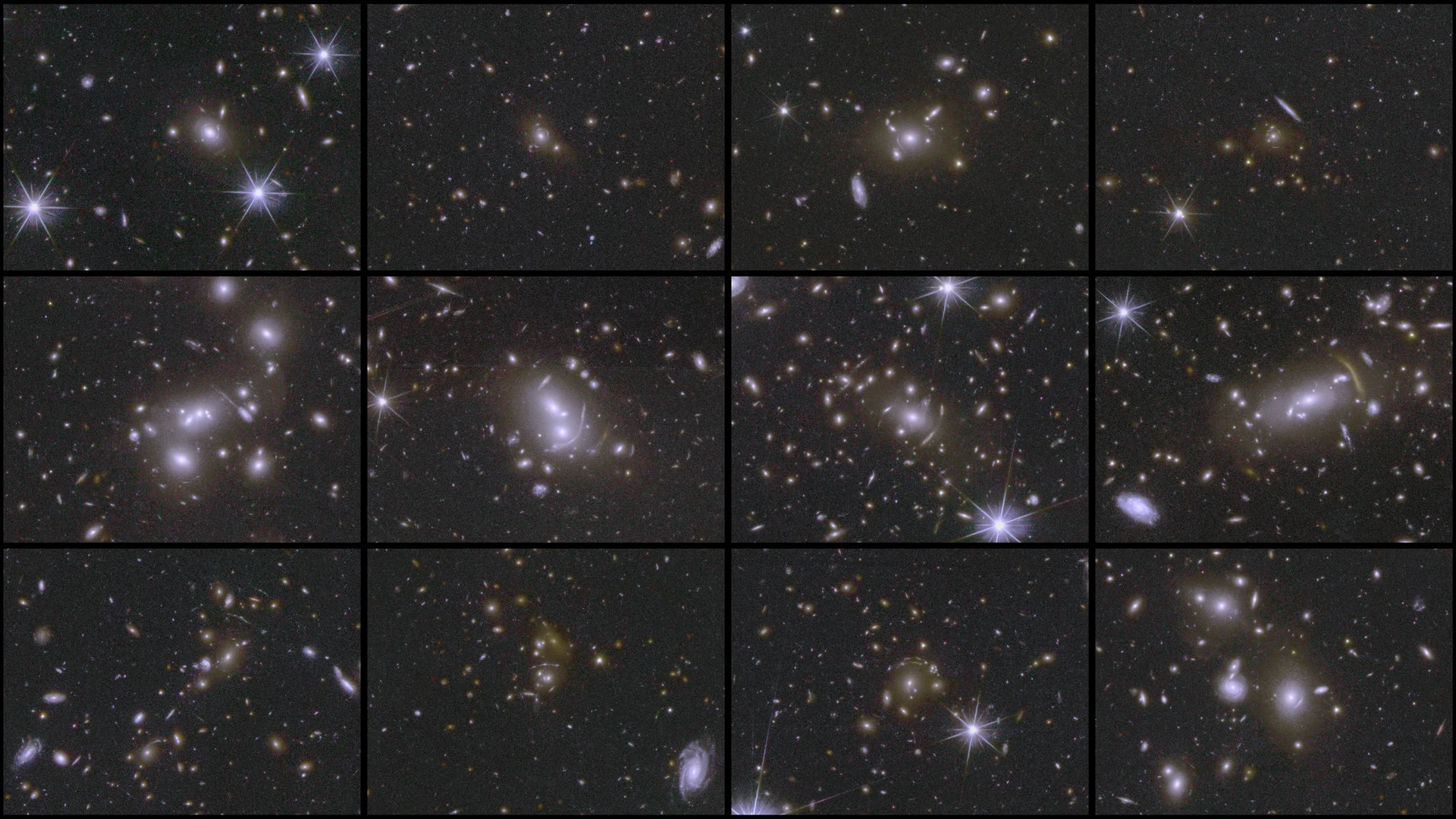 Euclid gravitational lenses